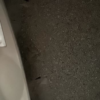 Yasomi Kedi Kum Kabının Dayanıklılık Sorunu Ve Yetersiz Müşteri Desteği