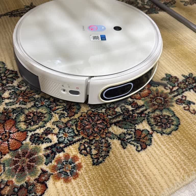 Robot Süpürge Kullanım Deneyimi Ve Sorunlar