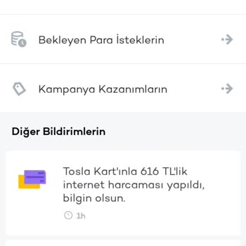 İzinsiz Yapılan Alışveriş Problemi