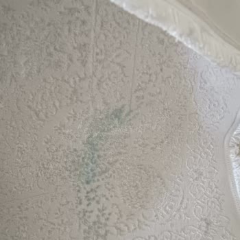 İzgiler Halı Yıkama | Diyarbakır Pişmanlığı