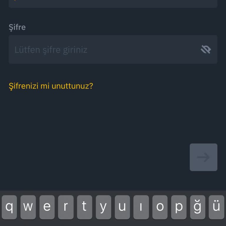 Binance Hesabına Erişim Sorunu Yaşıyorum