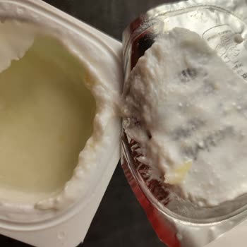 Bozuk Probiyotik Yoğurt Hayal Kırıklığı