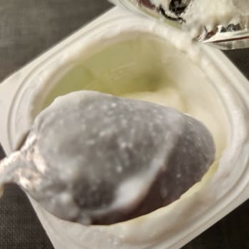 Bozuk Probiyotik Yoğurt Hayal Kırıklığı