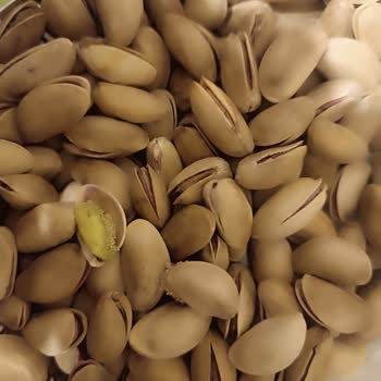 A101 Çerezya Antep Fıstığında Kurtçuk Ve Larva Sorunu