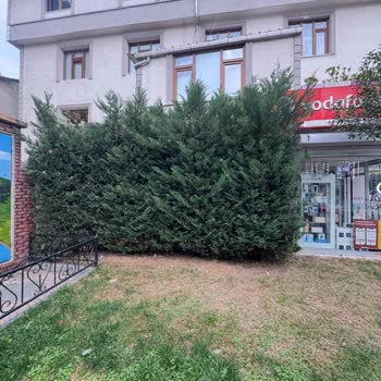 Belediyenin Sorumsuzluğu Ve İletişim Eksikliği
