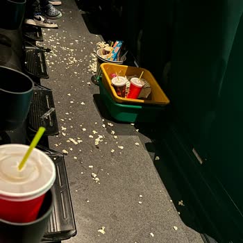 Pis Sinema Salonu Ve Yüksek Ücretler