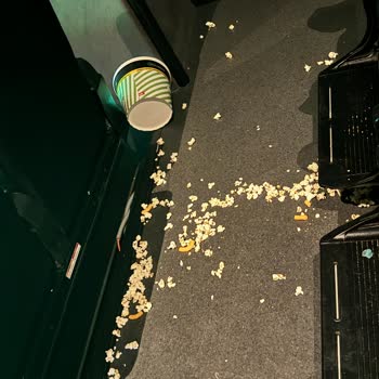 Pis Sinema Salonu Ve Yüksek Ücretler