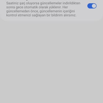 Samsung Galaxy Watch 6 Güncelleme Sorunu