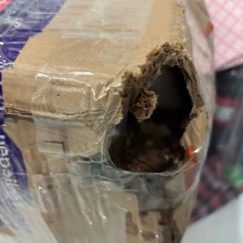 Watsons Kargomun Hasar Görmesi Ve Yetersiz Hizmet