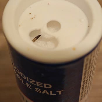 Billur Tuz'da Böcek Şoku: Sağlığımız Tehlikede!