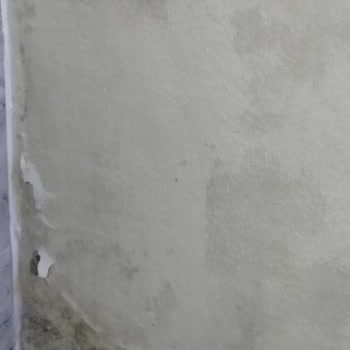 Üst Kattan Gelen Gürültü Ve Su Sızıntısı Sorunu
