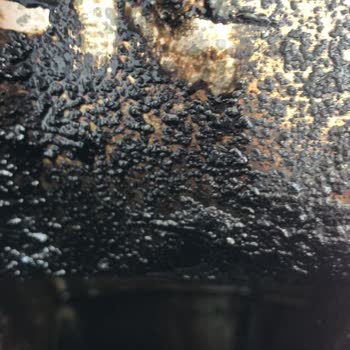 Milas Bal Gurme Sakarkaya Süzme Çam Balı Sorunu!