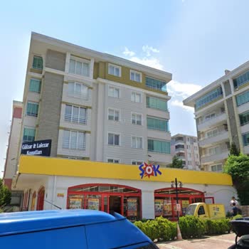 Şok Market Yetkililerinin Kedimize Yönelik Hoş Olmayan Davranışları