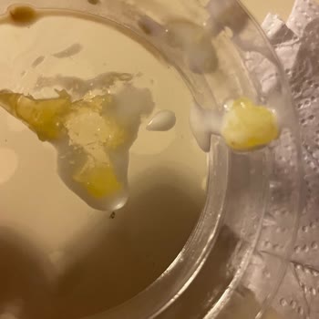 Dondurmalı İrmik Helvasında Donmuş Yağ Sürprizi