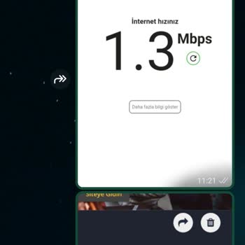 Veganet'in Teknik Destek Eksikliği Ve Sürekli Donmalar