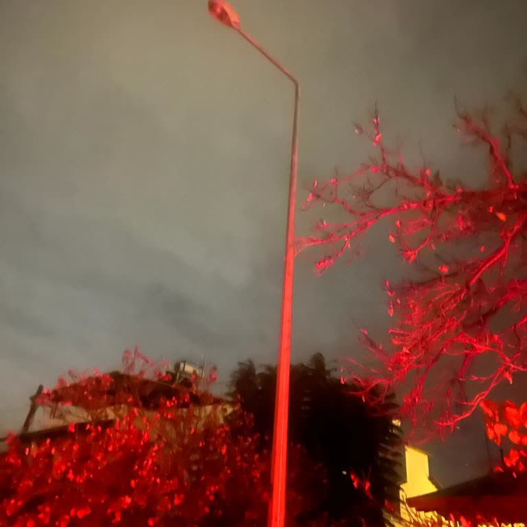 Sokak Lambası Sorununa Çözüm Bulunamıyor