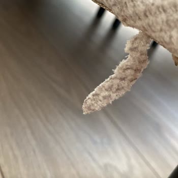 Koltuk Takımında Beklenmedik Sorunlar