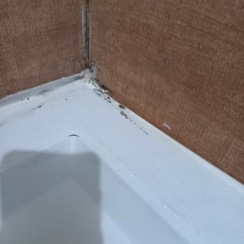 Duşakabin Kabusu: 5000 TL'ye Çöp Oldu