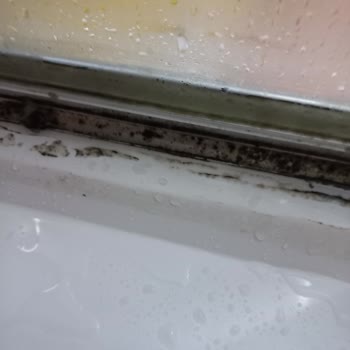 Duşakabin Kabusu: 5000 TL'ye Çöp Oldu