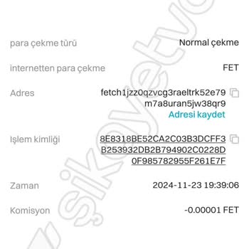 Fet Coin Transferinde Gecikme Ve İade Sorunu