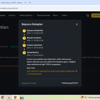 Fet Coin Transferinde Gecikme Ve İade Sorunu