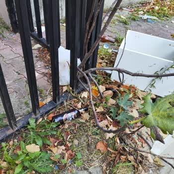 Belediye İhmali: Öğrenci Yolu Tehlike Saçıyor