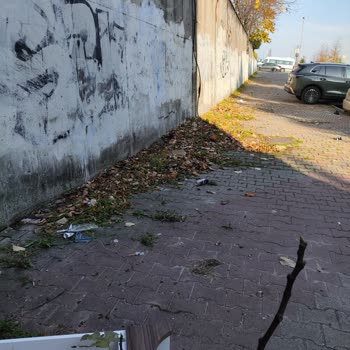 Belediye İhmali: Öğrenci Yolu Tehlike Saçıyor