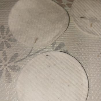 Organik Pamuk Diskte Şok Edici Yabancı Madde Sorunu