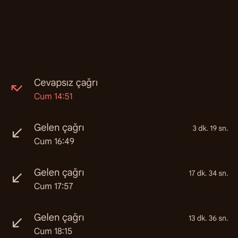 Bursa Büyükşehir Belediyesi Kimlik Bilgilerimin Alınmasından Dolayı Endişeliyim