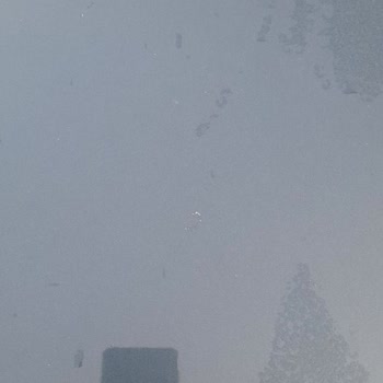 Fiat Egea Boya Sorunu Ve Yetersiz İnceleme