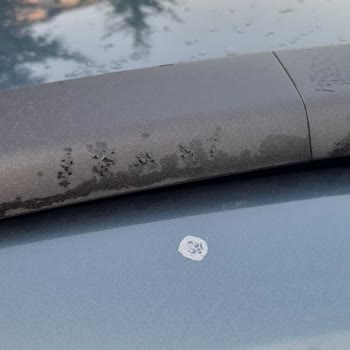 Fiat Egea Boya Sorunu Ve Yetersiz İnceleme