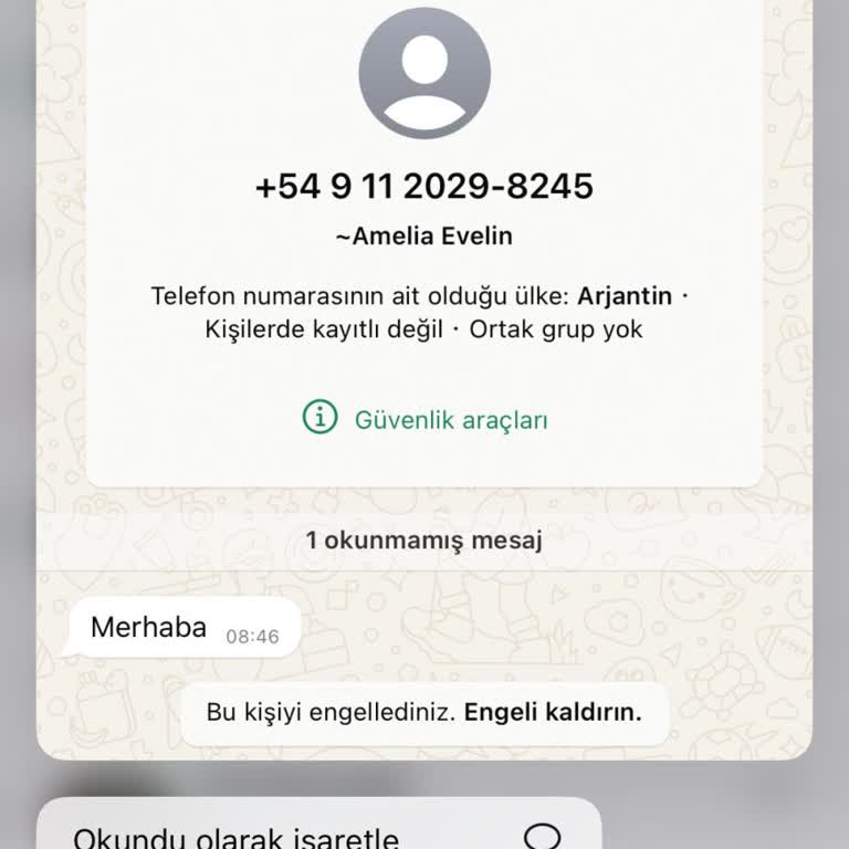 Arjantin'den Gelen Beklenmedik Mesaj Ve WhatsApp Güvenlik Endişesi