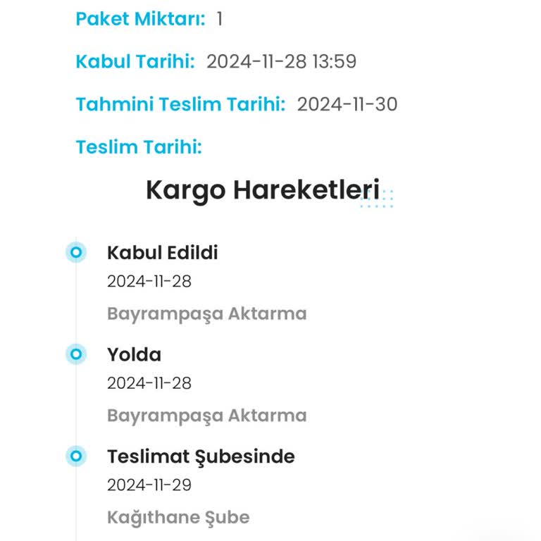 Zara'nın Kargo Kabusu: Teslim Edilmeyen Ürün Ve İade Çilesi