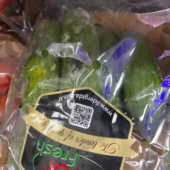 Küflü Salatalıkların Satışı: Mini Marketlerde Denetim Eksikliği