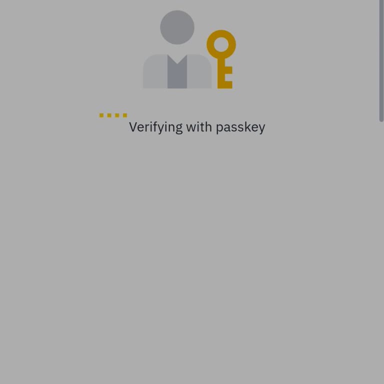 Binance Hesabına Giriş Sorunu: Çözüm Bekleniyor