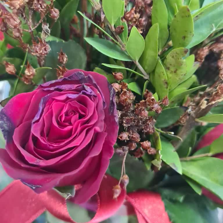 Doğum Günümde Hayal Kırıklığı: Geç Gelen Ve Bozulmuş Çiçek Siparişi