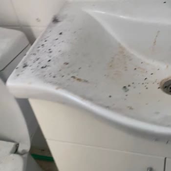 RE/MAX  Star İle Kiracı Kabusu