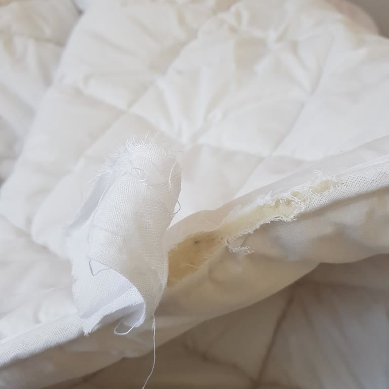 Yırtık Ürünler Ve Yetersiz Müşteri Hizmeti