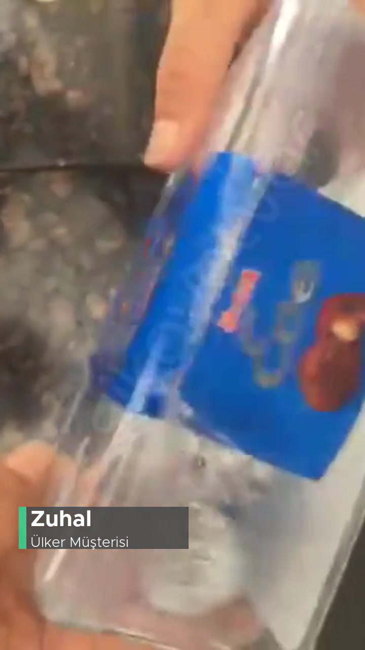 Ülker Ece Çikolata İçinden Kurt Çıktı! videonun kapak resmi