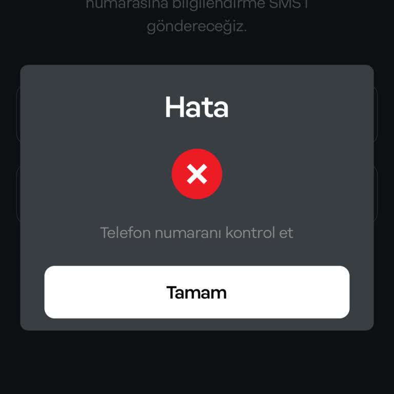 Papara Veli Onayı Sorunu: Numarayı Kabul Etmiyor!