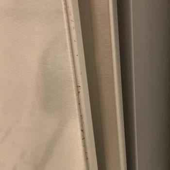 Yeni Buzdolabımın Yanları Paslanıyor