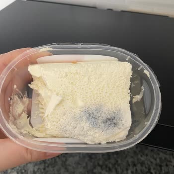 Taze Alınan Kaymak 1 Günde Küflendi