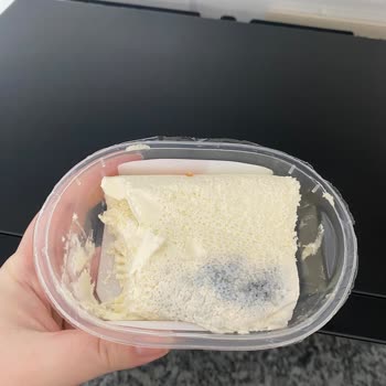 Taze Alınan Kaymak 1 Günde Küflendi