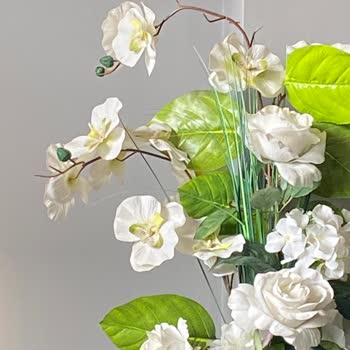 Hivecloud.vip Adlı Platformdan Paramı Çekemiyorum