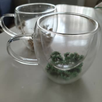 Hayal Kırıklığı Yaratan Bardak Siparişi Ve Yetersiz Müşteri Hizmeti