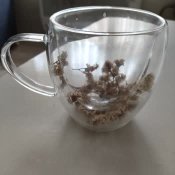 Hayal Kırıklığı Yaratan Bardak Siparişi Ve Yetersiz Müşteri Hizmeti