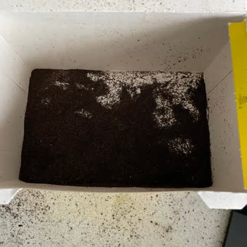 Patlak Çay Poşetleriyle Hayal Kırıklığı