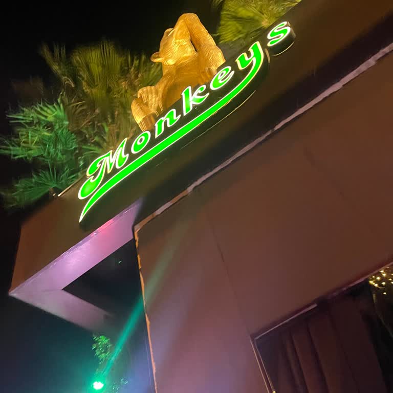 Monkeys İstanbul Rezervasyon Fiyaskosu: Söz Verilen Hizmetin Sağlanmaması