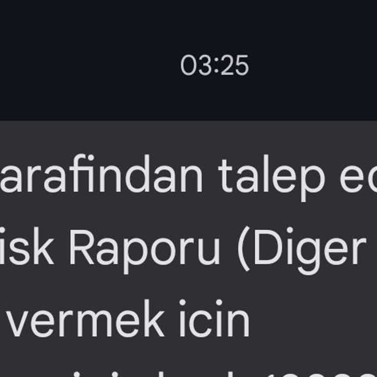Bilinmeyen Kişi Adıma Risk Raporu Talep Ediyor!