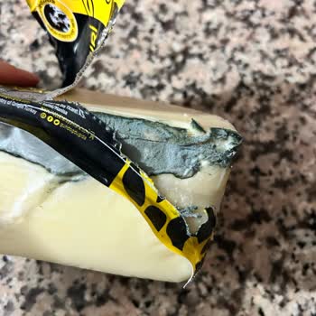 Küflü Kaşar Sorunu Ve Kalite Düşüklüğü